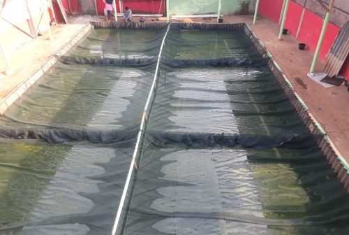 jaring keramba apung 3